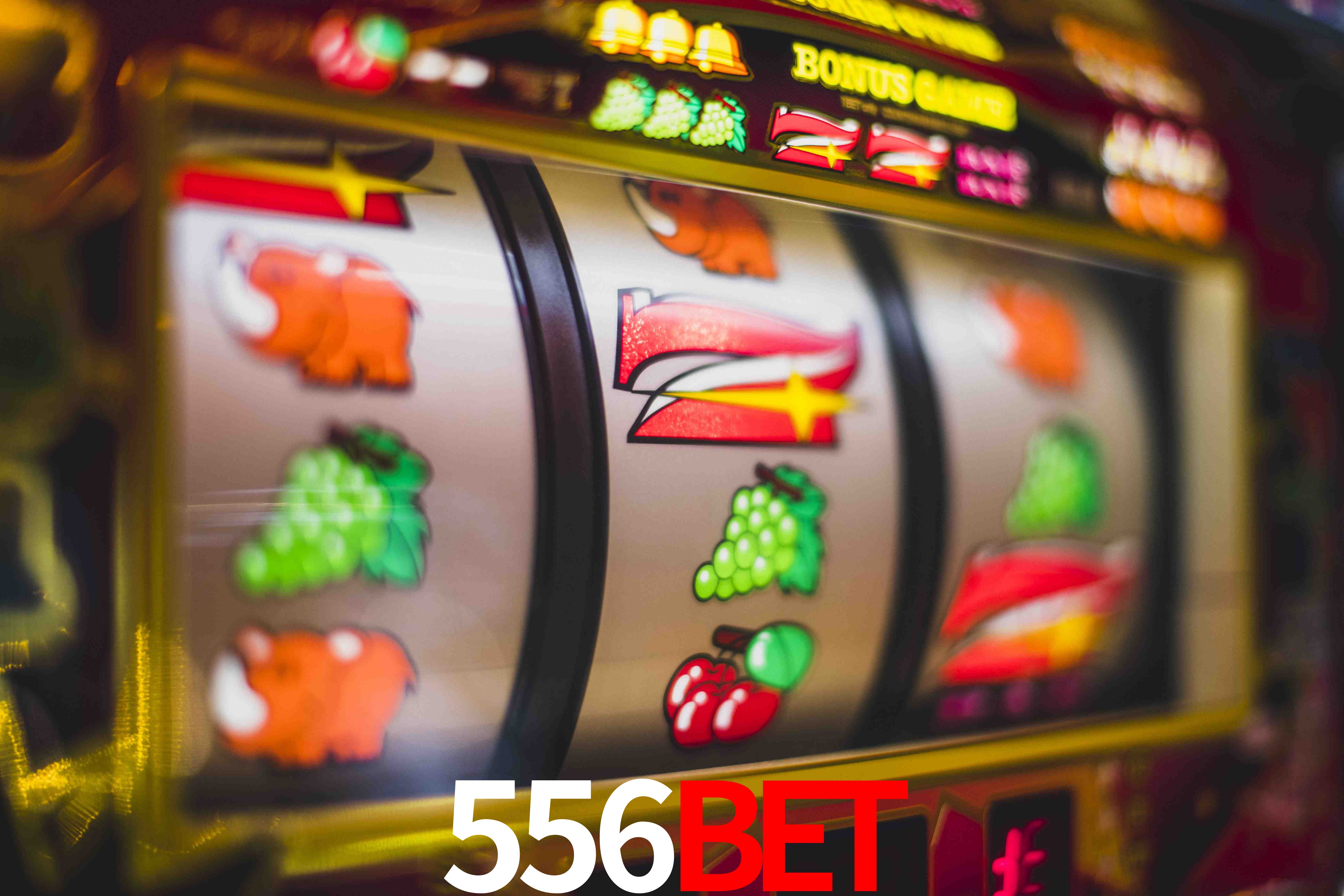 Sports Statistics 556bet